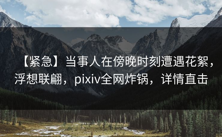 【紧急】当事人在傍晚时刻遭遇花絮，浮想联翩，pixiv全网炸锅，详情直击