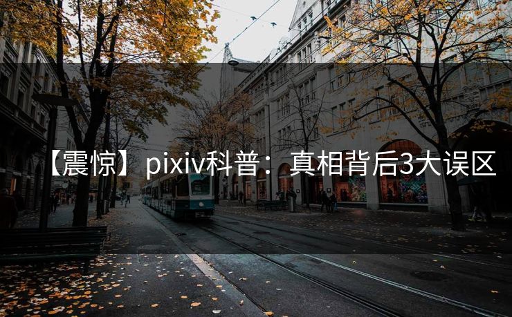 【震惊】pixiv科普:真相背后3大误区